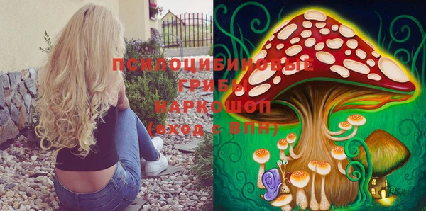 гидропоника Алексин