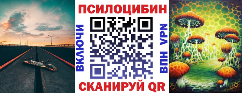 Псилоцибиновые грибы Psilocybe  Пошехонье 